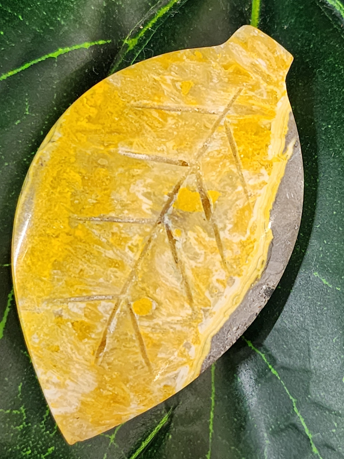 Bumblebee Jasper Leaf Carving - 2.1"
