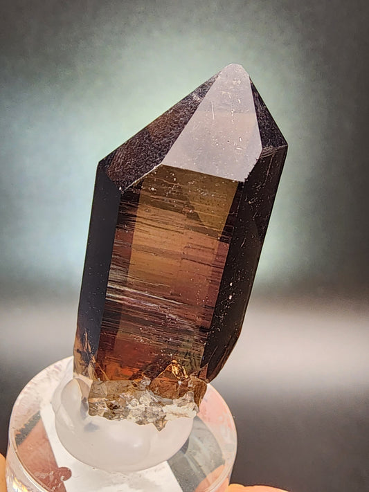 Smoky Quartz- Galenstock, Tiefenbach, Realp, Urseren, Uri, Switzerland
