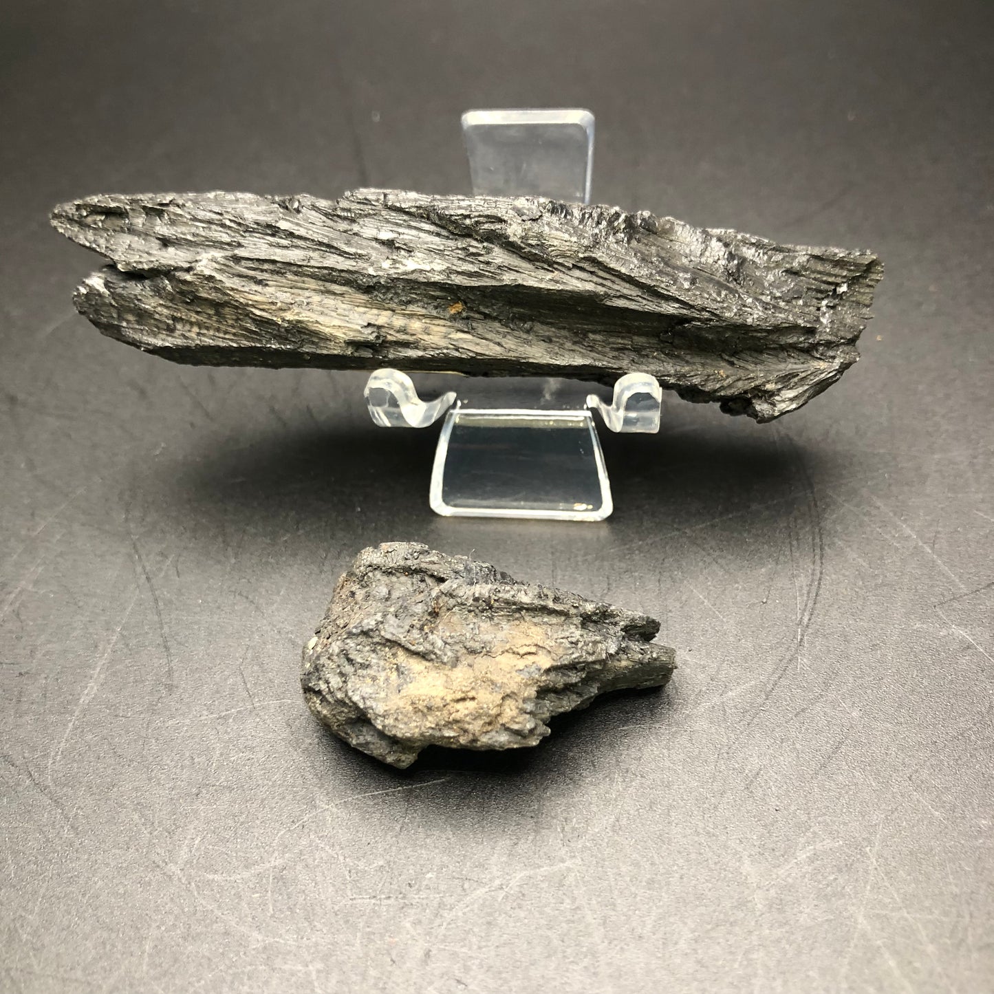 AUCTION Black Petrified Wood Arizona, USA The Crystalary