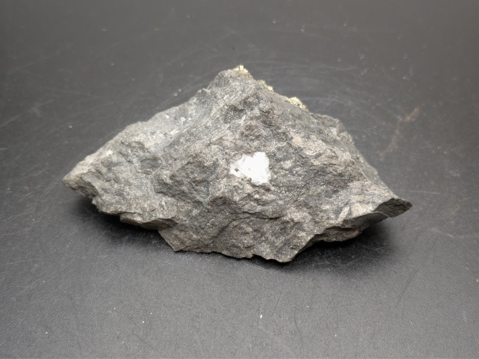 PYRITE- C.E. Duff & Son Quarry, Huntsville, Logan County, Ohio USA- Sm Cabinet
