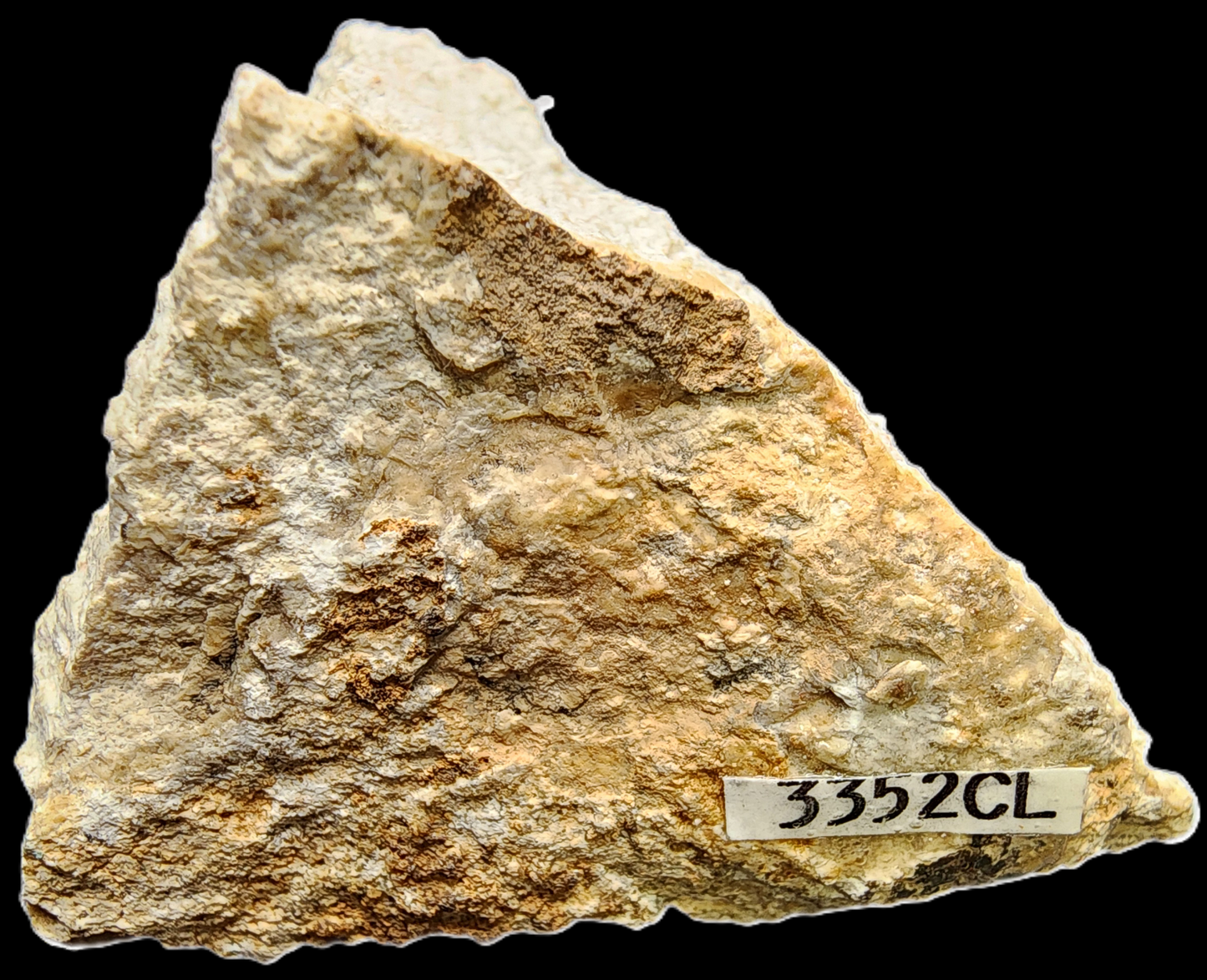 HILLEBRANDITE  - An Nuqrah, Ha'il Region, Saudi Arabia - Miniature-Sized