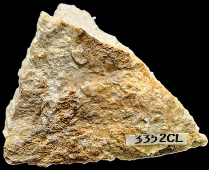 HILLEBRANDITE  - An Nuqrah, Ha'il Region, Saudi Arabia - Miniature-Sized