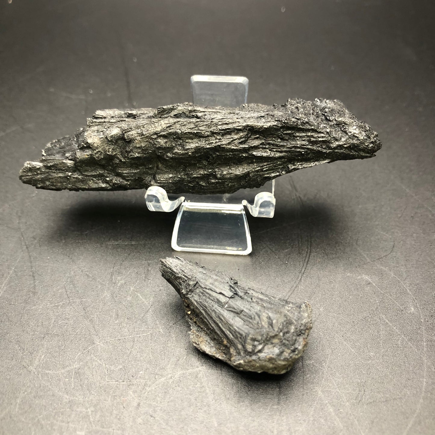 AUCTION Black Petrified Wood Arizona, USA The Crystalary