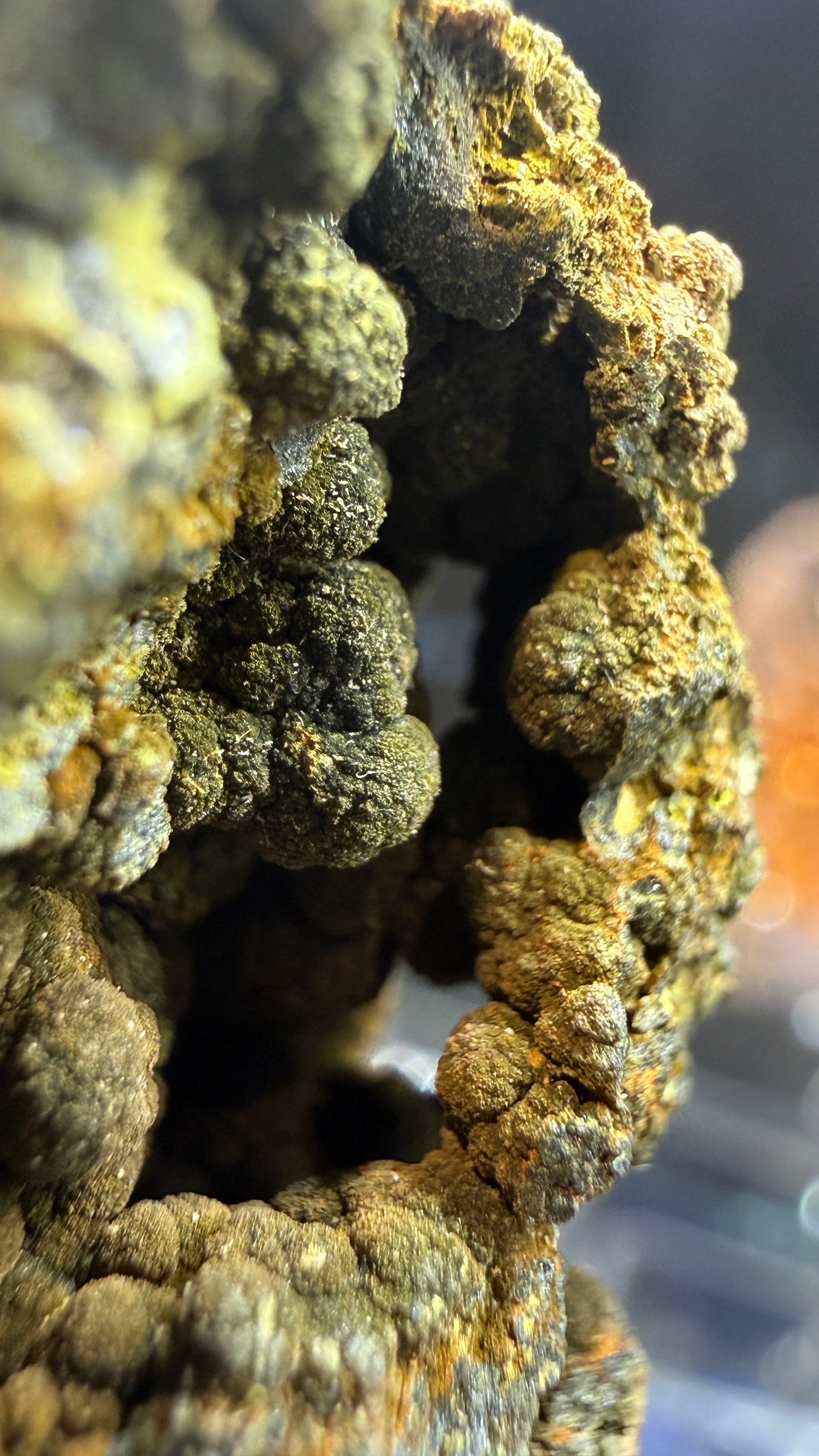 Mottramite- Tsumeb Mine, Oshikoto Region, Namibia