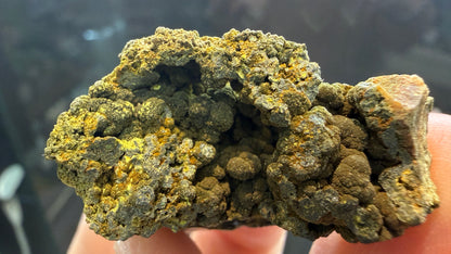 Mottramite- Tsumeb Mine, Oshikoto Region, Namibia