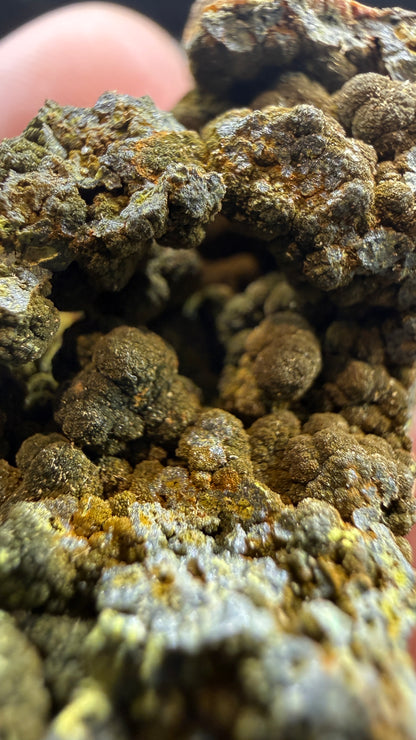 Mottramite- Tsumeb Mine, Oshikoto Region, Namibia