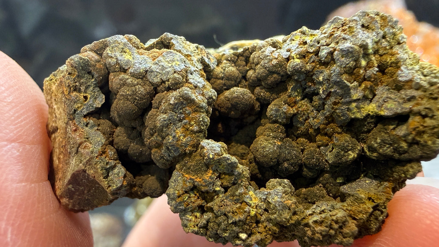 Mottramite- Tsumeb Mine, Oshikoto Region, Namibia
