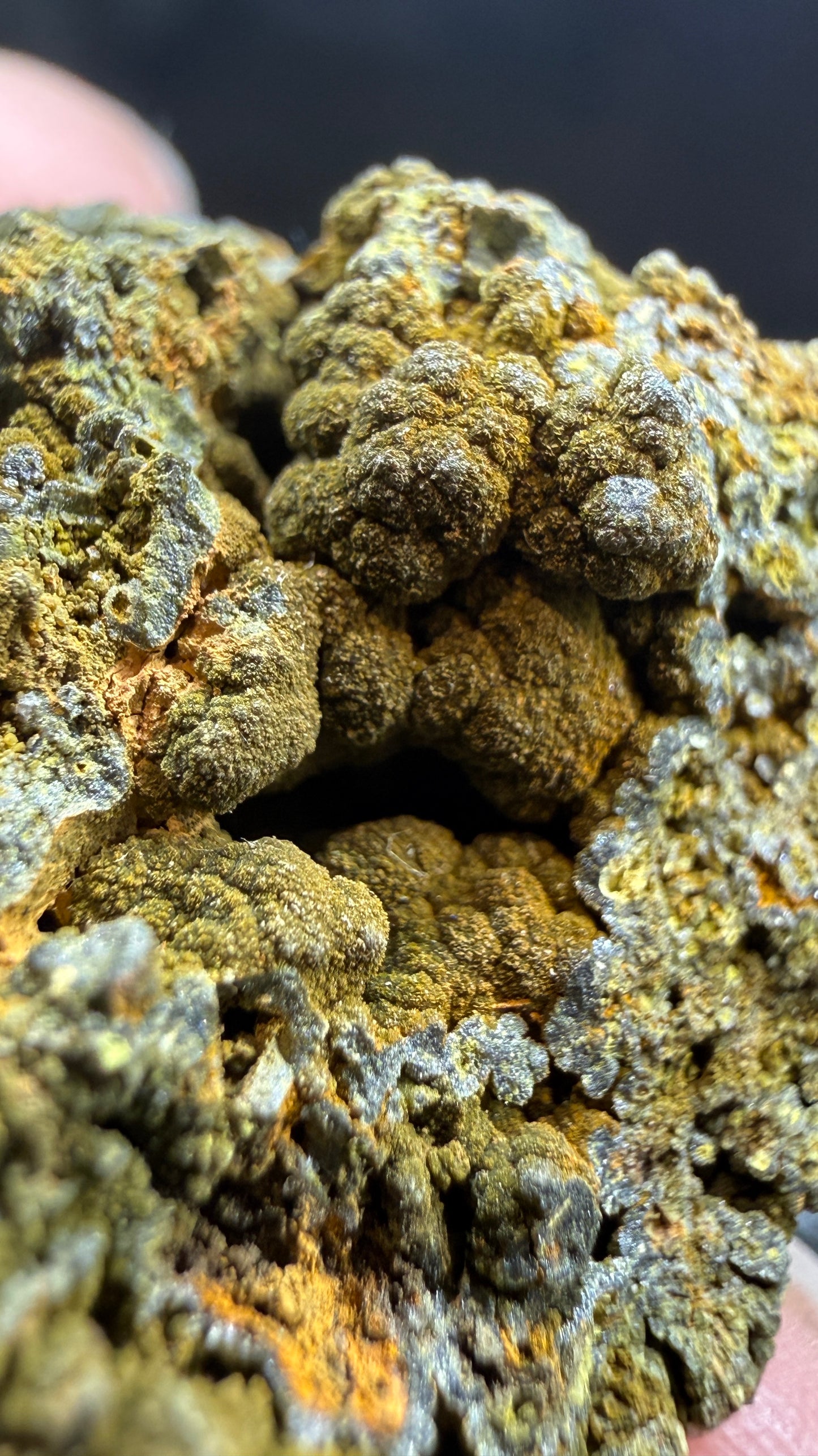 Mottramite- Tsumeb Mine, Oshikoto Region, Namibia