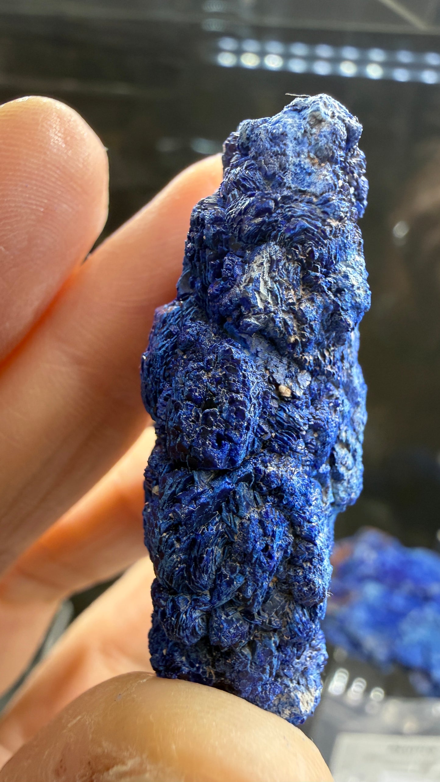 Azurite- Bisbee, Cochise County, Arizona, USA