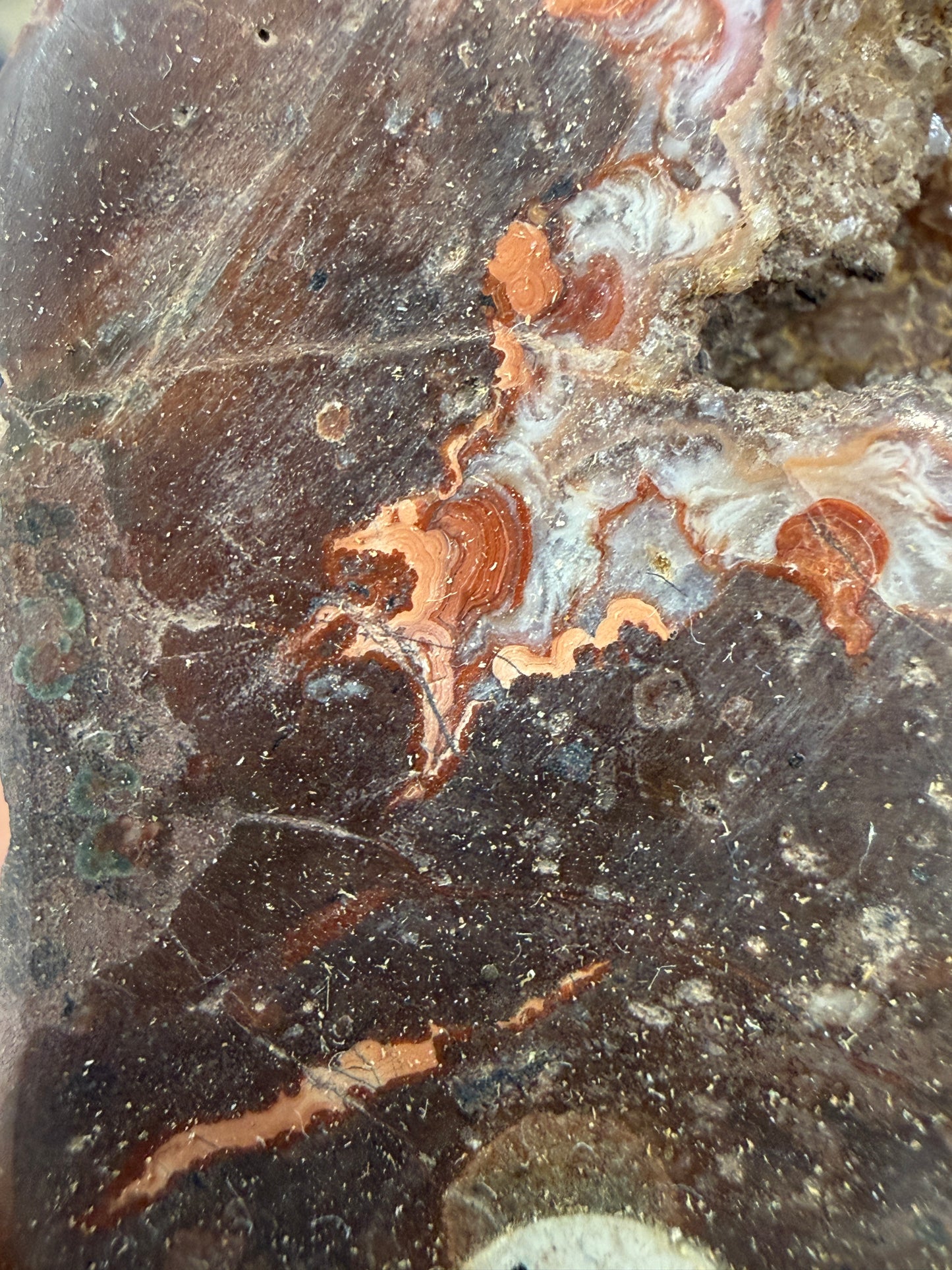 Agate Geode, Quartz- North Shore, Lake Superior, Minnesota