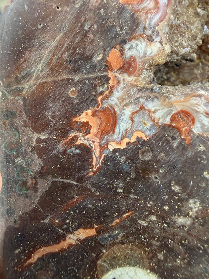 Agate Geode, Quartz- North Shore, Lake Superior, Minnesota