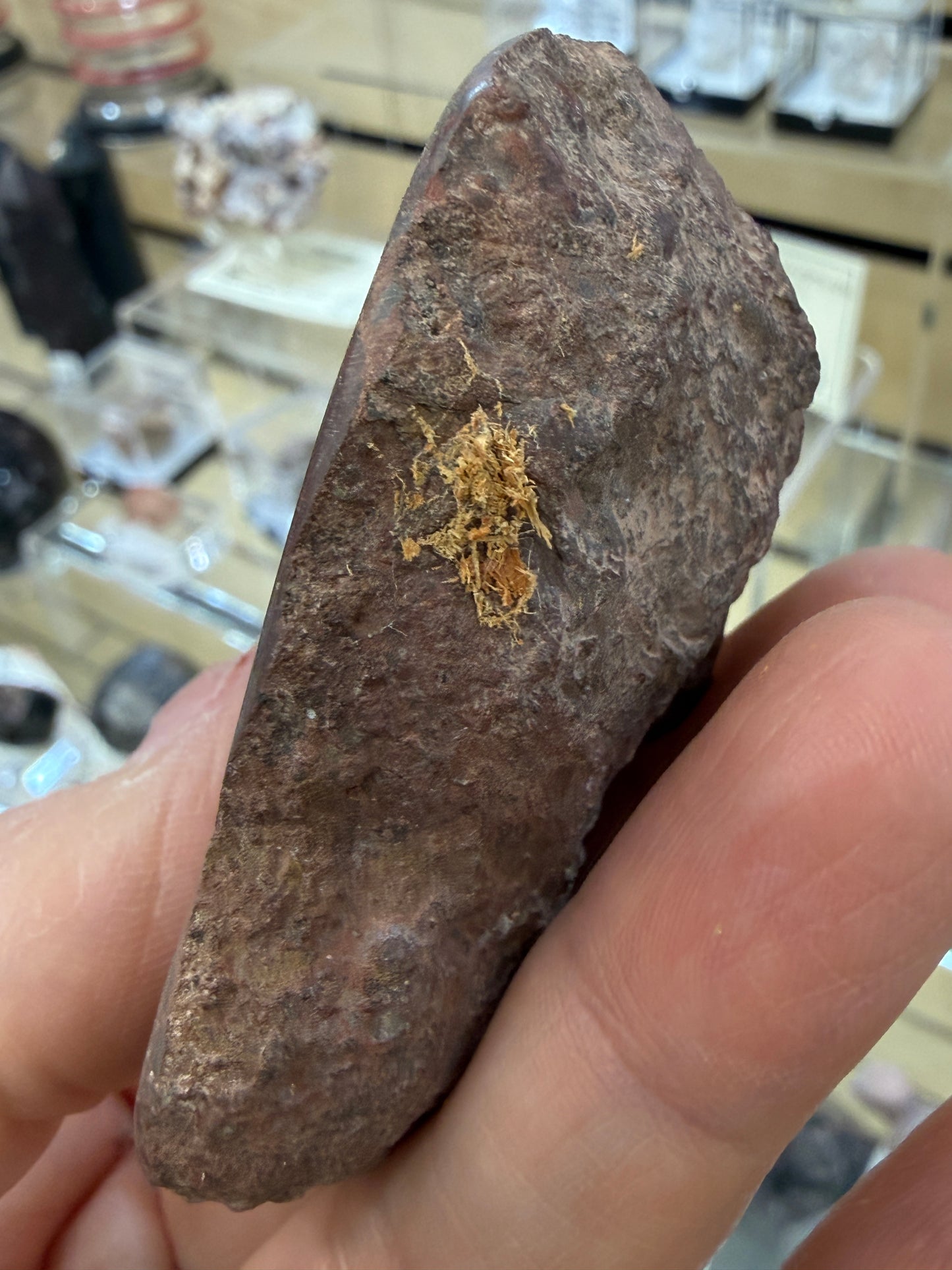 Agate Geode, Quartz- North Shore, Lake Superior, Minnesota