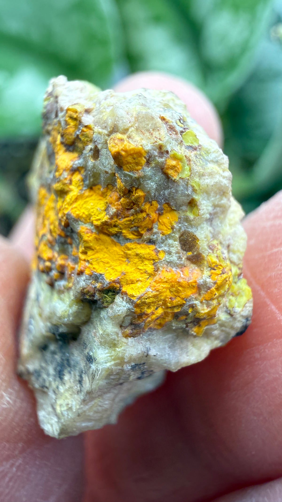 Gummite- No identified locality
