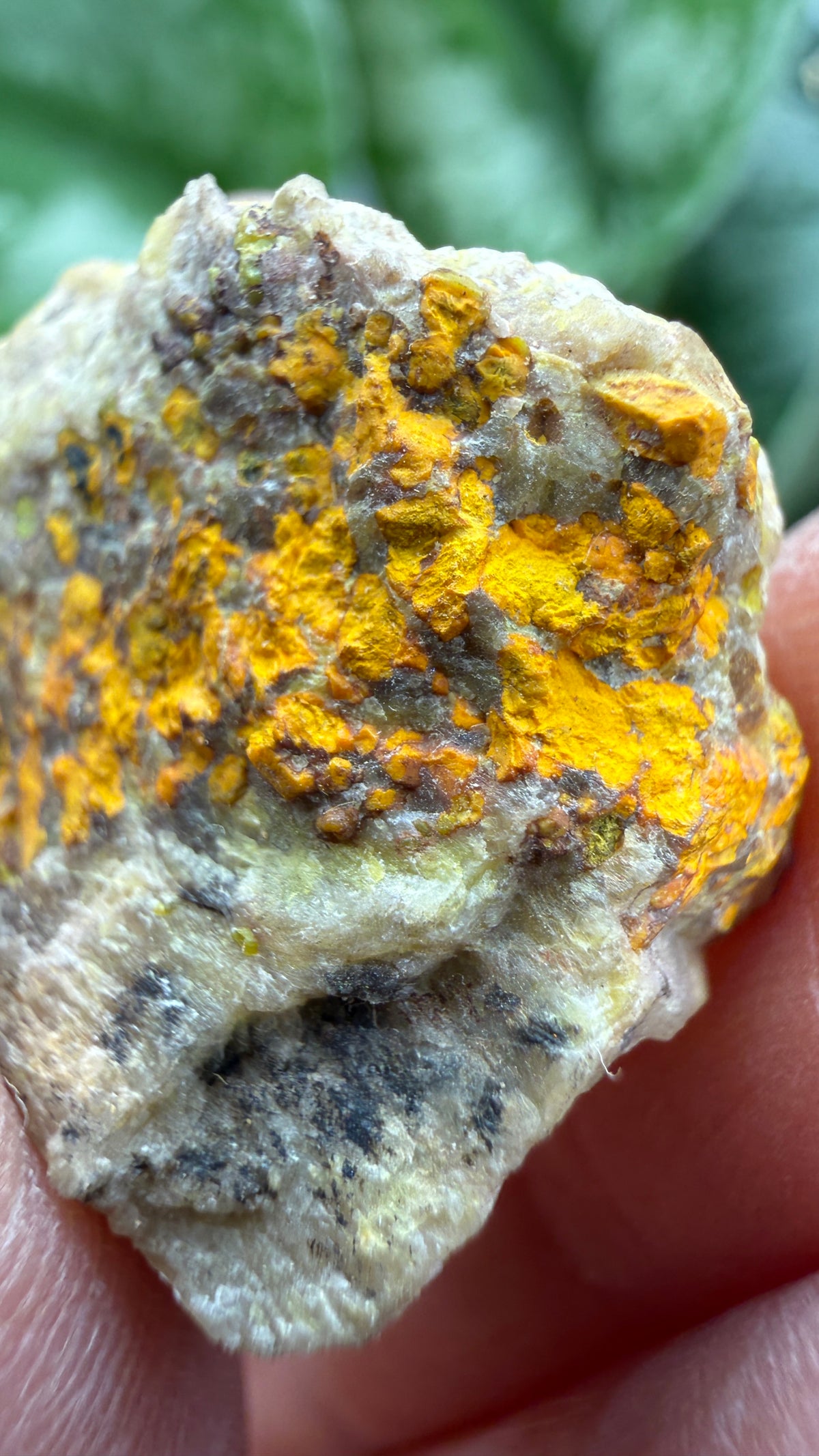Gummite- No identified locality