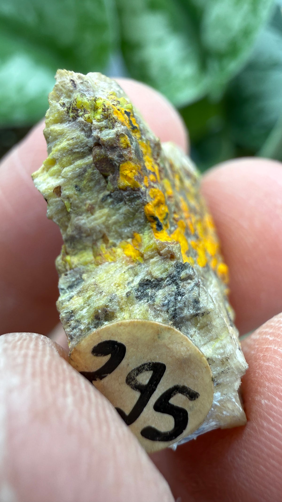 Gummite- No identified locality