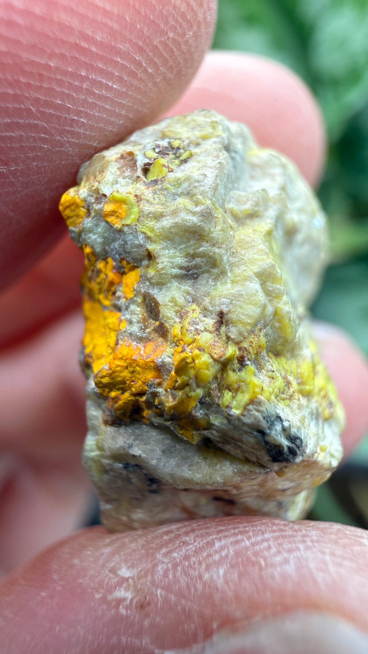 Gummite- No identified locality