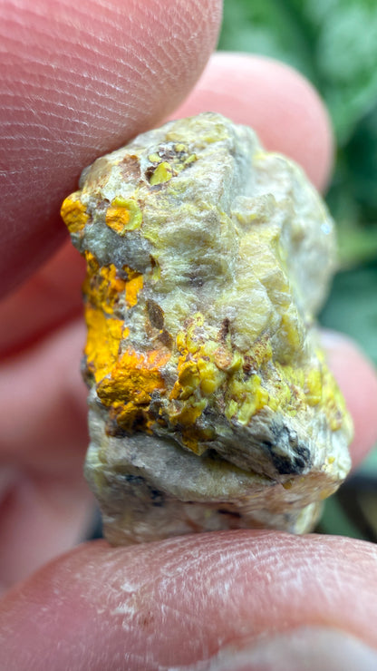 Gummite- No identified locality