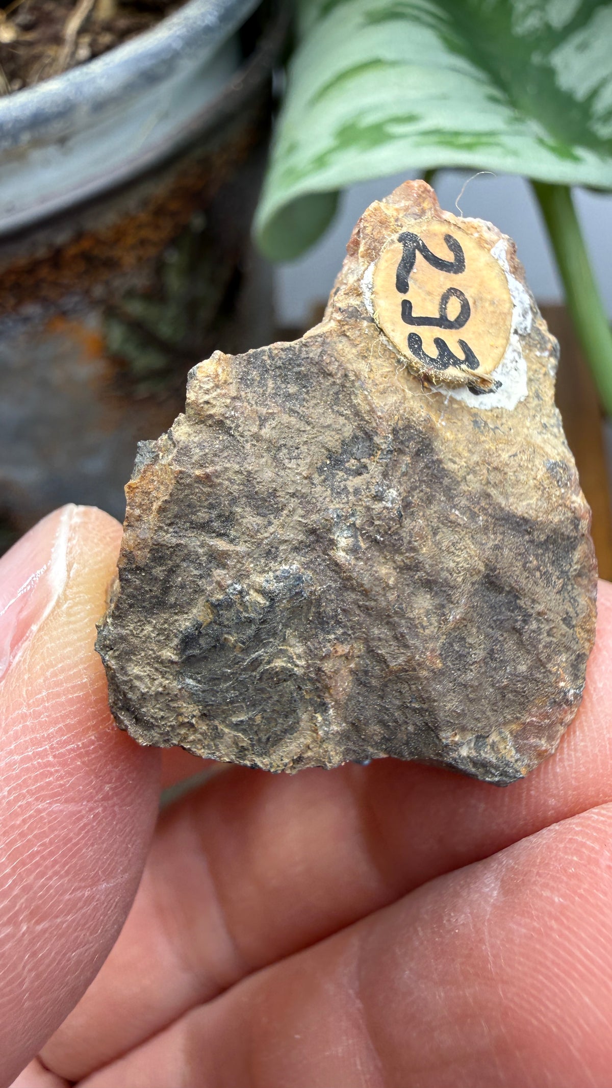 Uranium Ore– Ontario, Canada
