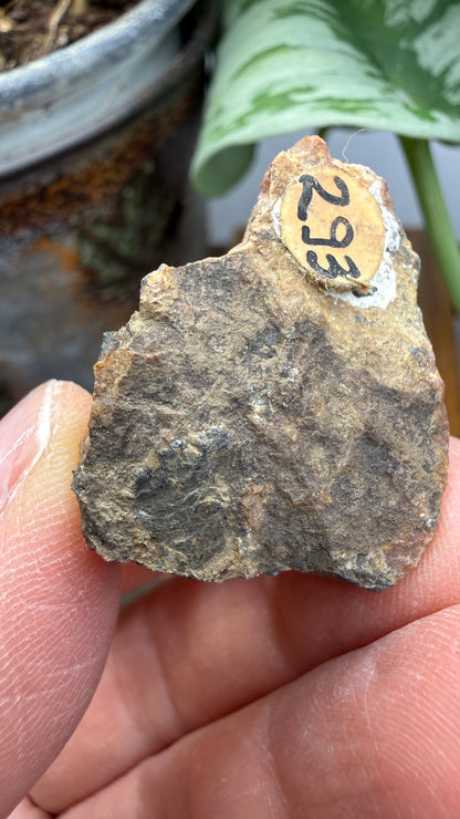Uranium Ore– Ontario, Canada