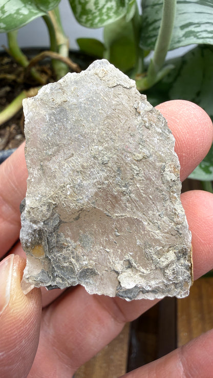 Gypsum- Grand Rapids, Kent County, Michigan, USA