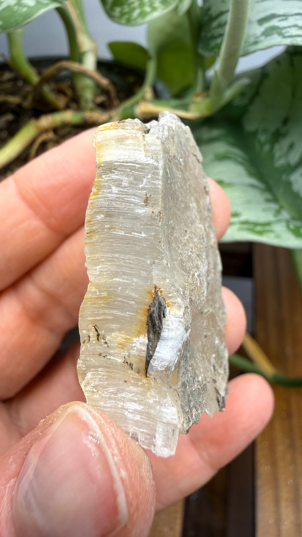 Gypsum- Grand Rapids, Kent County, Michigan, USA