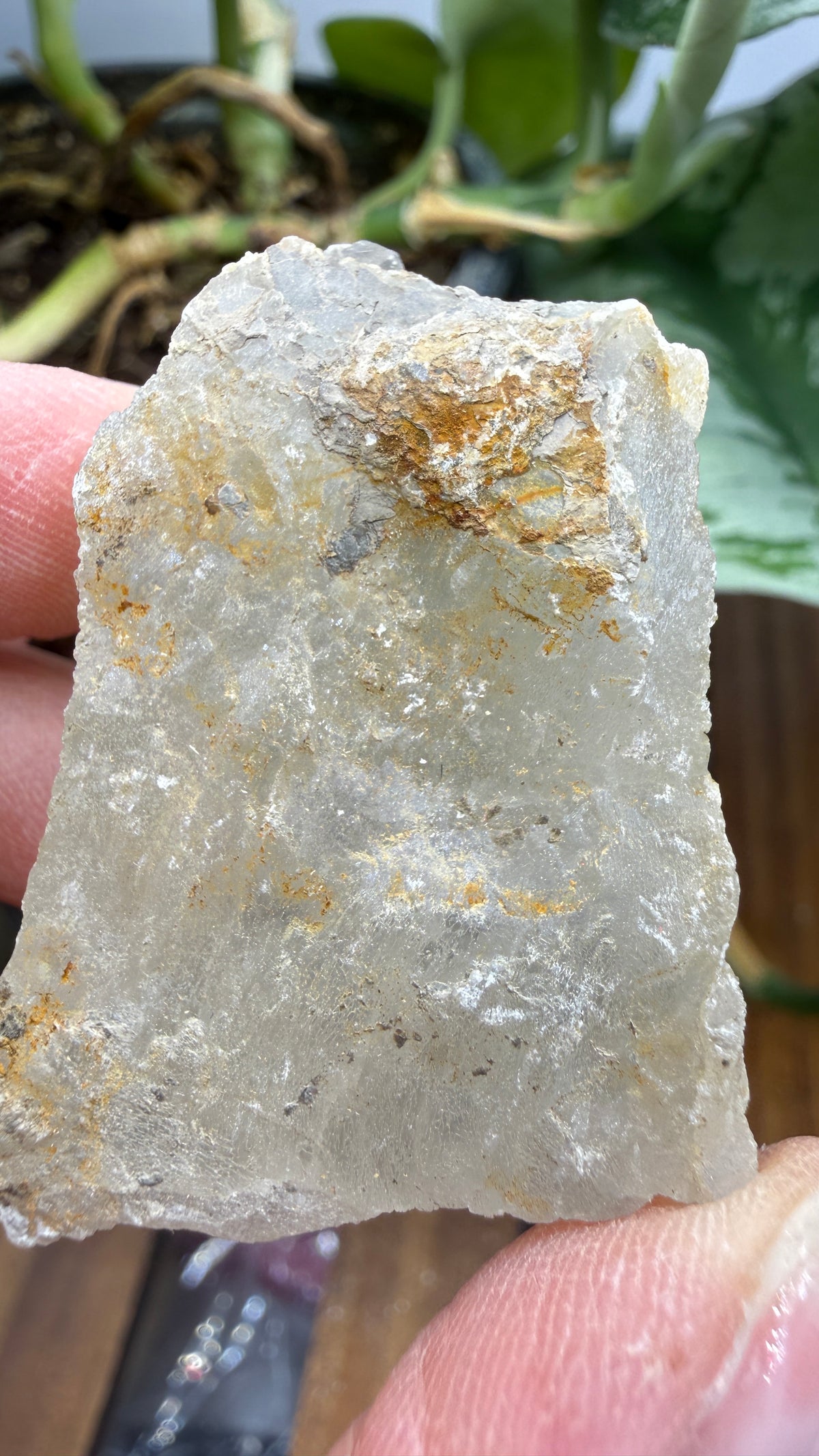 Gypsum- Grand Rapids, Kent County, Michigan, USA
