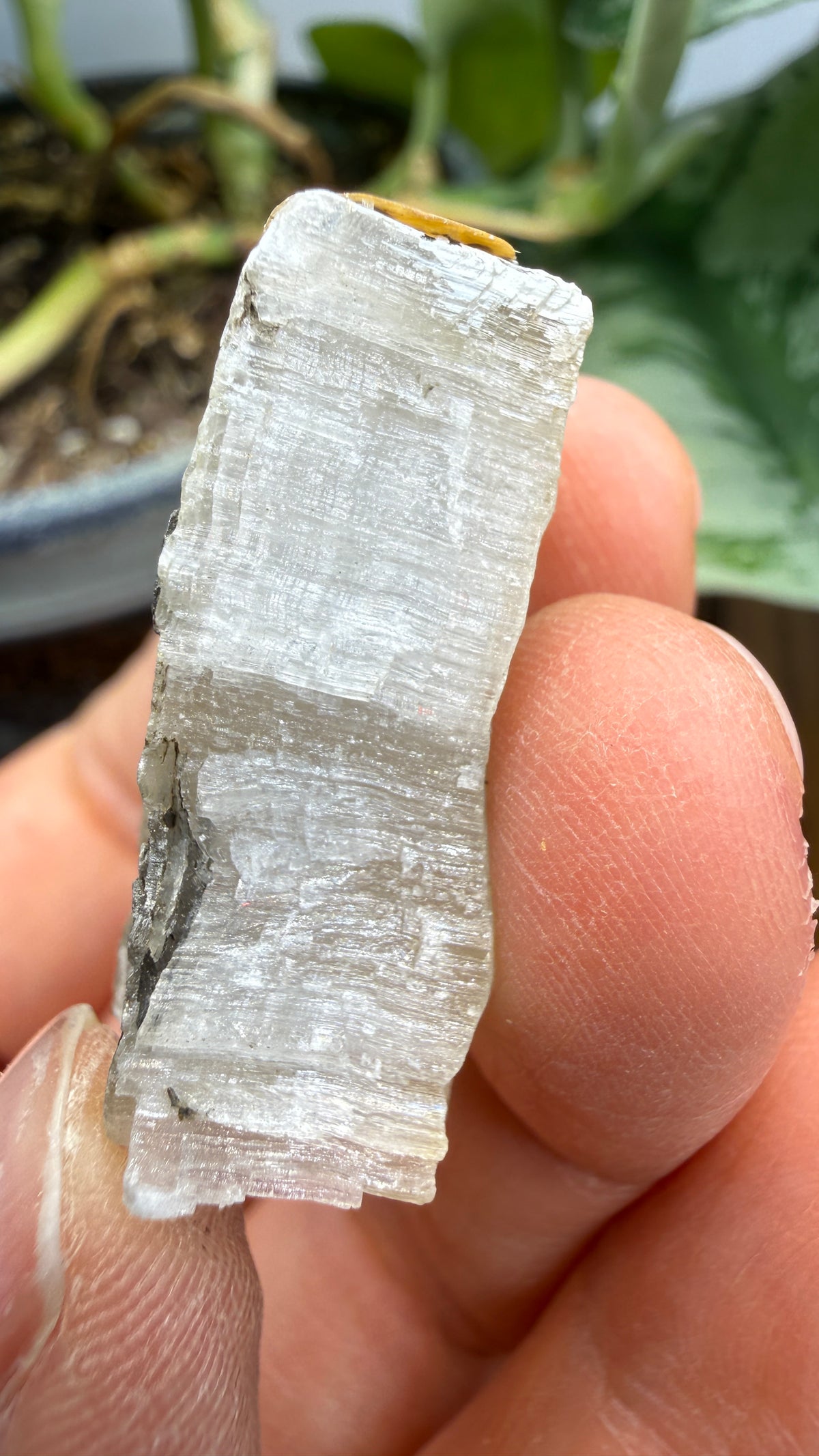 Gypsum- Grand Rapids, Kent County, Michigan, USA
