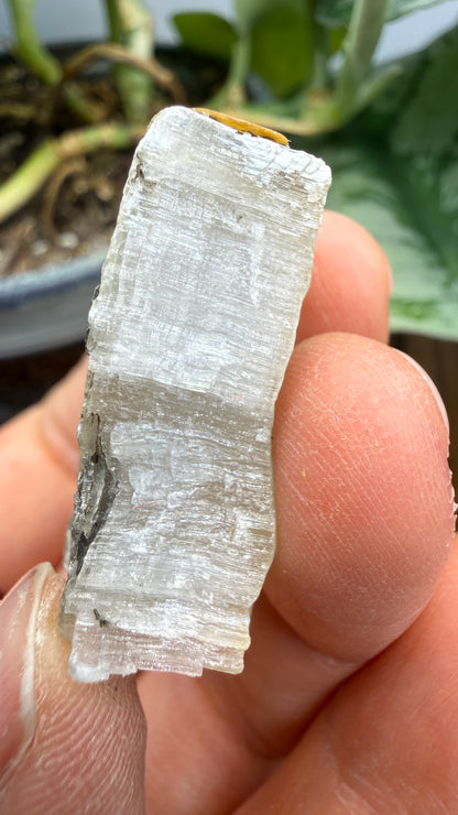 Gypsum- Grand Rapids, Kent County, Michigan, USA