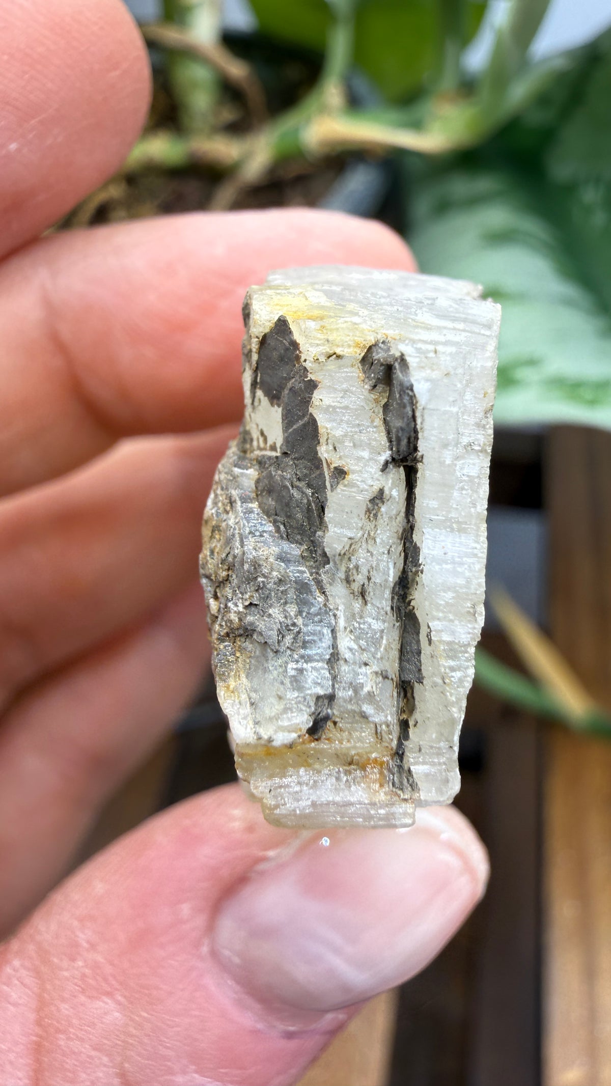 Gypsum- Grand Rapids, Kent County, Michigan, USA