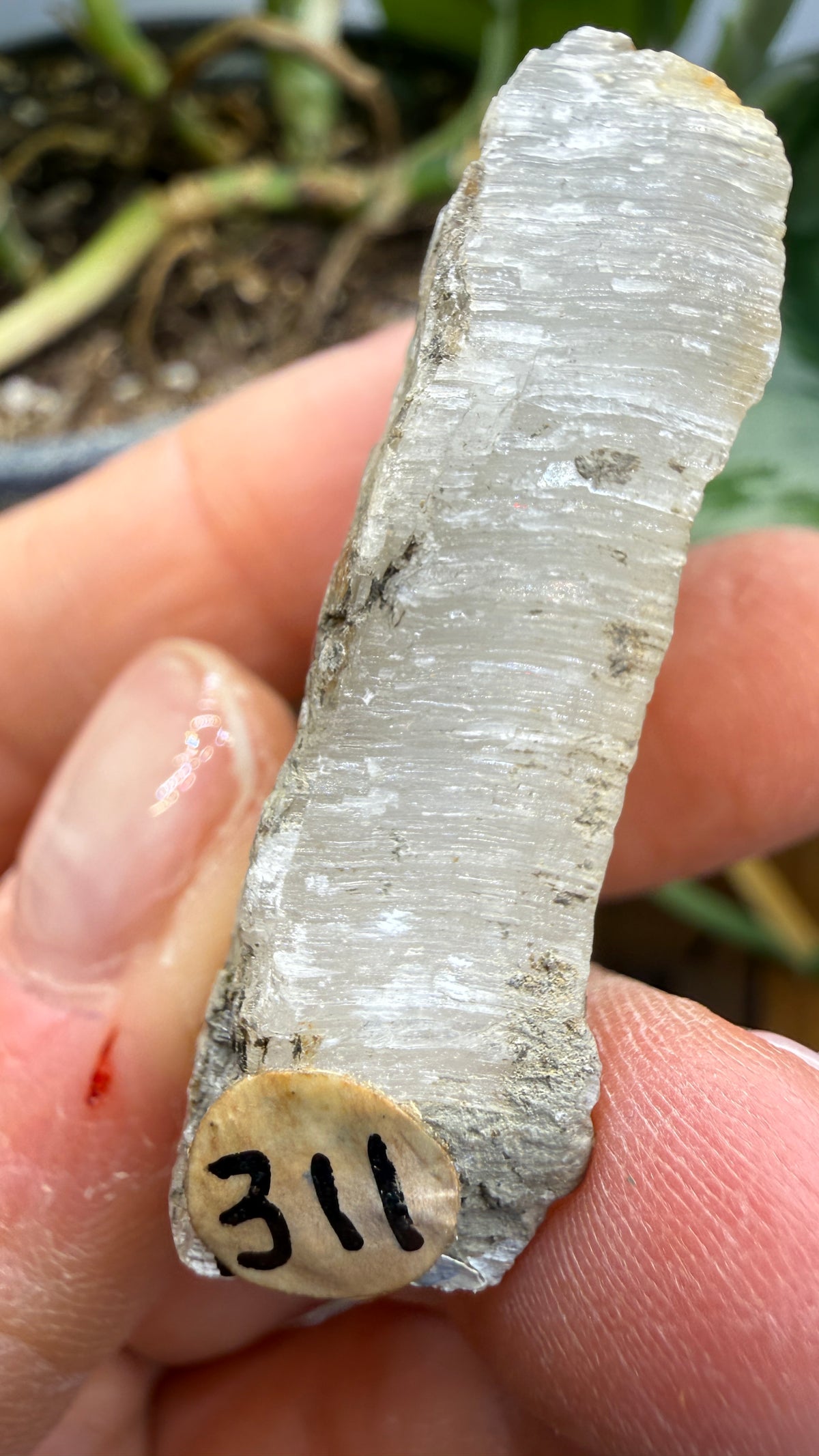 Gypsum- Grand Rapids, Kent County, Michigan, USA