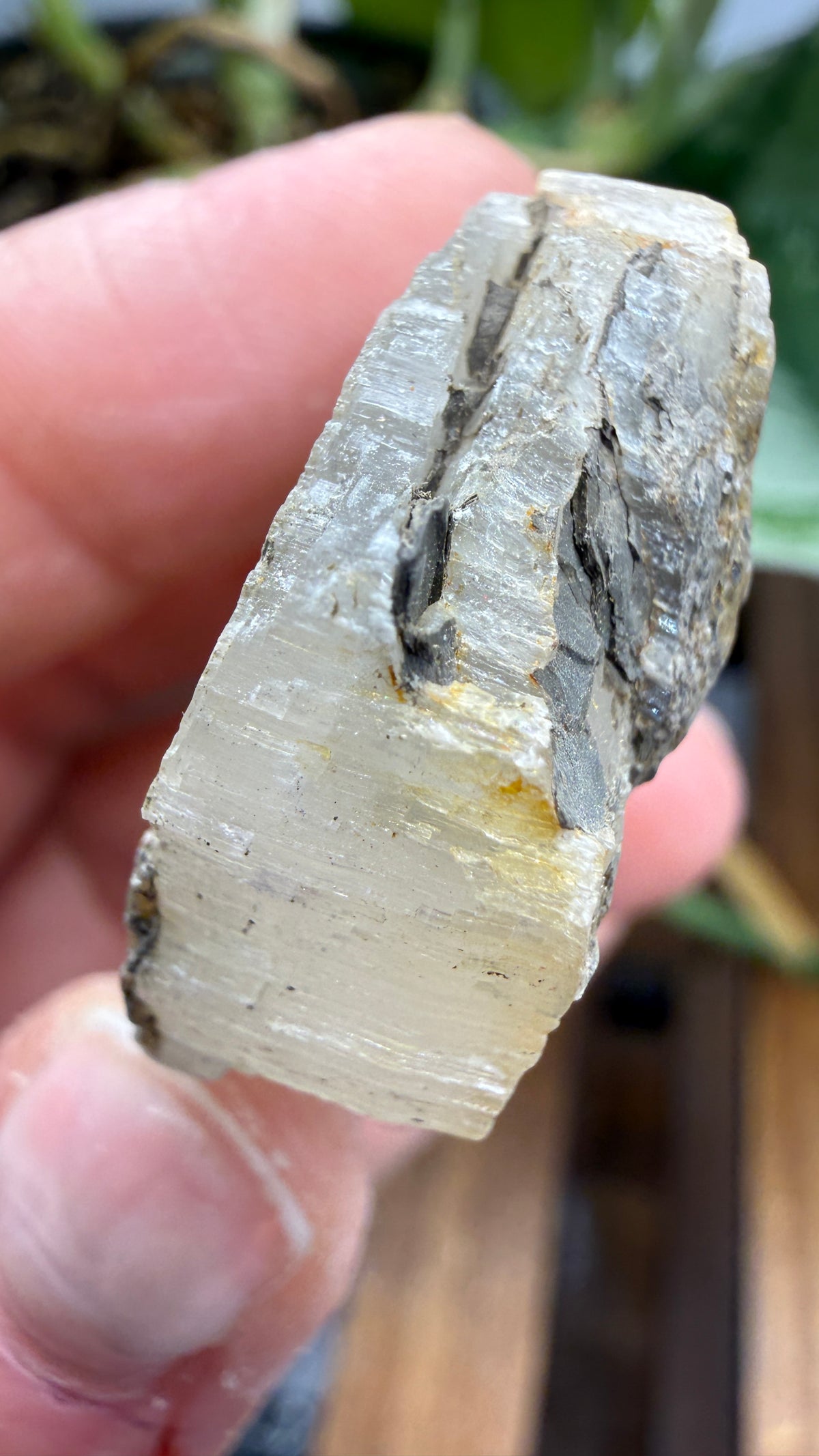Gypsum- Grand Rapids, Kent County, Michigan, USA