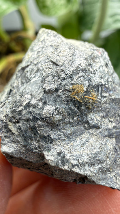 Erythrite on Smaltite– Cobalt area, Timiskaming District, Ontario, Canada