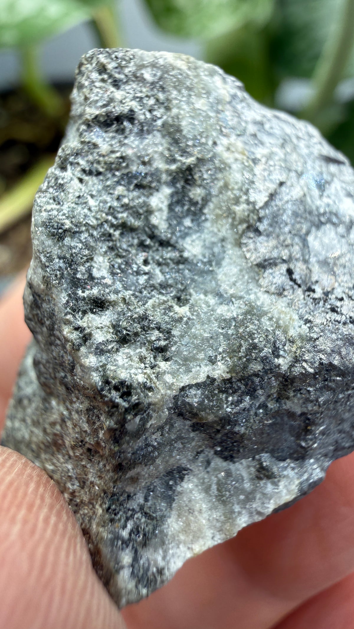 Erythrite on Smaltite– Cobalt area, Timiskaming District, Ontario, Canada