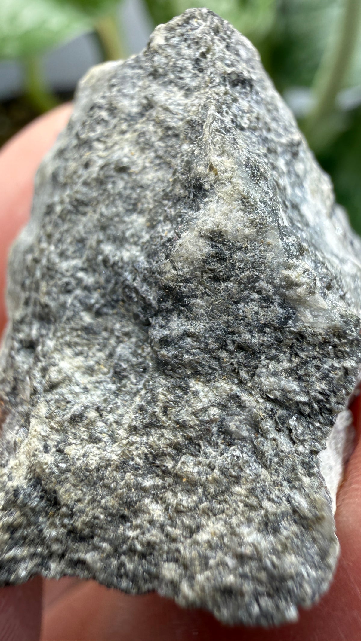 Erythrite on Smaltite– Cobalt area, Timiskaming District, Ontario, Canada