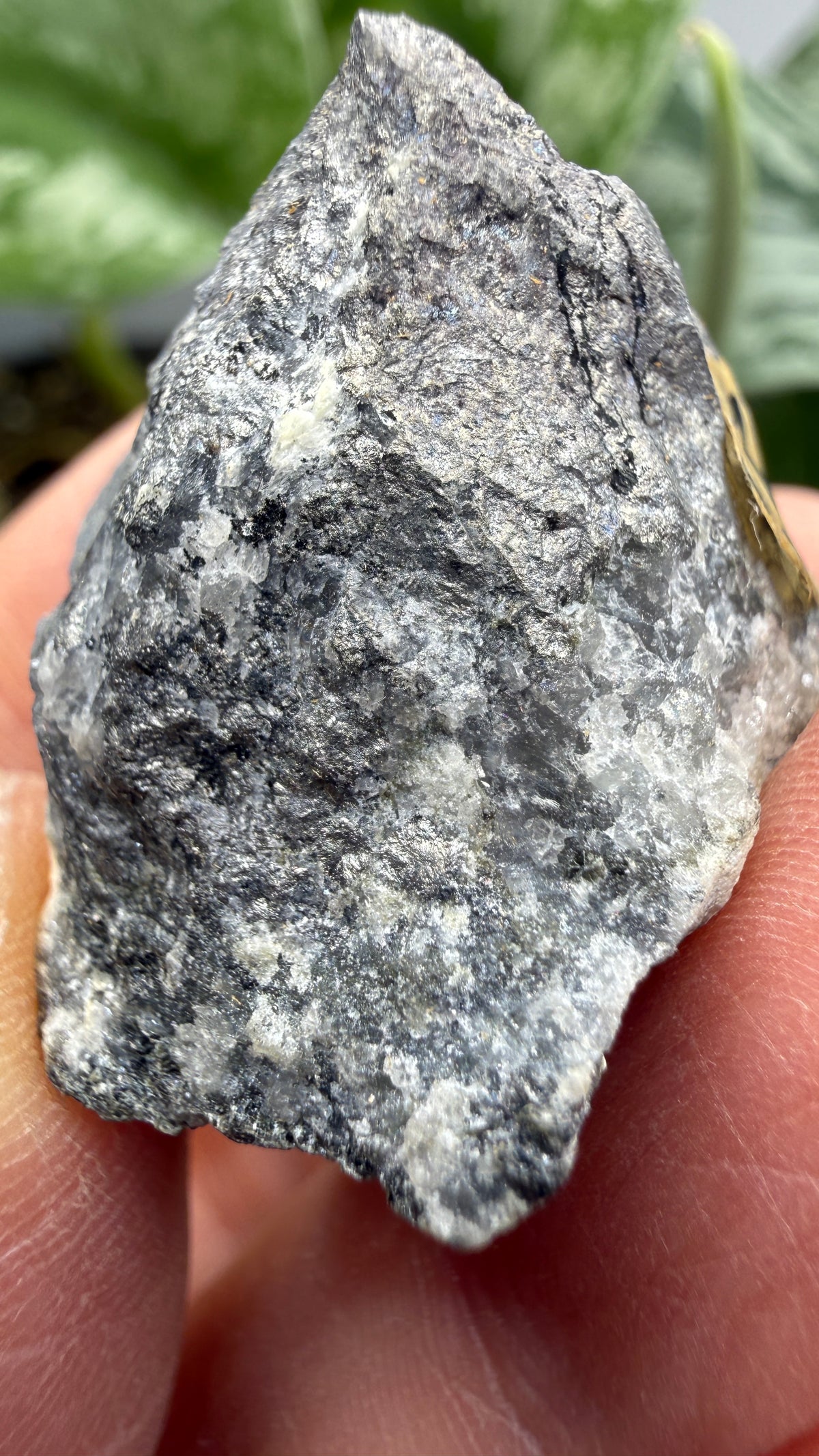 Erythrite on Smaltite– Cobalt area, Timiskaming District, Ontario, Canada