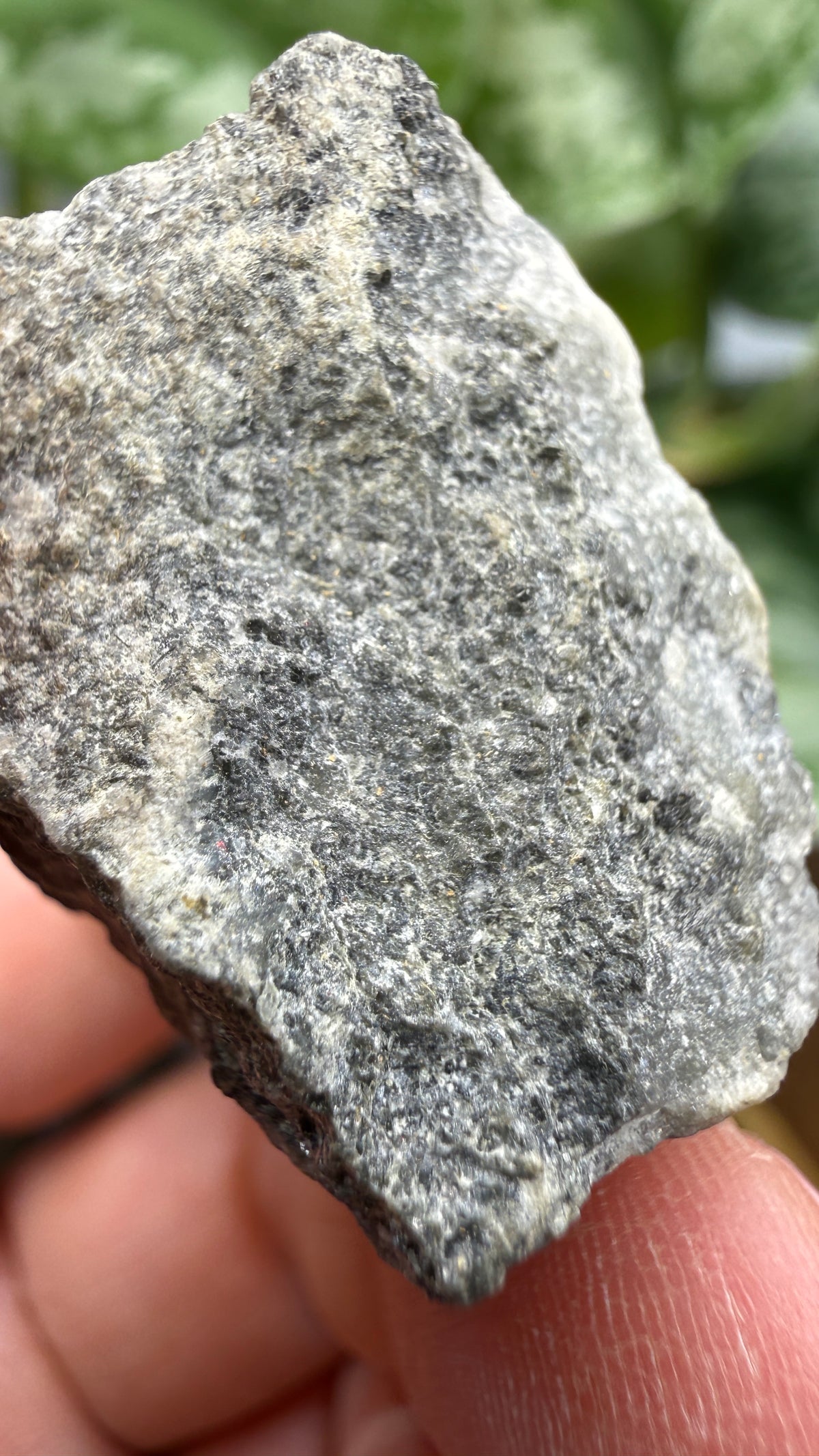 Erythrite on Smaltite– Cobalt area, Timiskaming District, Ontario, Canada