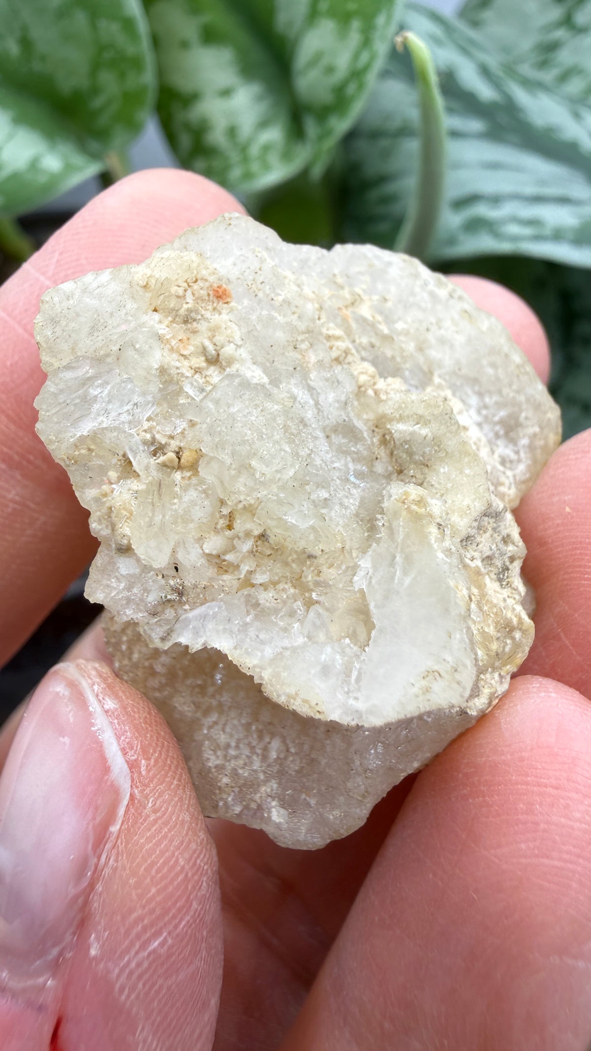 Colemanite– Kern County, California