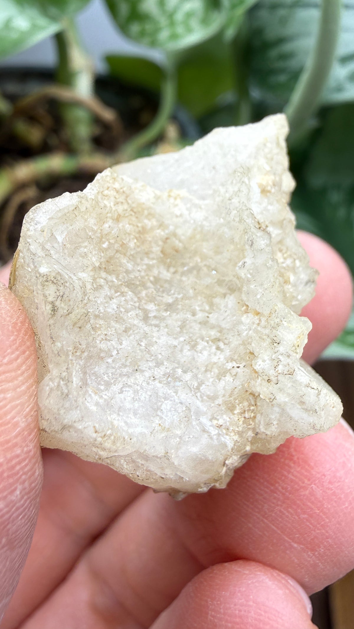 Colemanite– Kern County, California