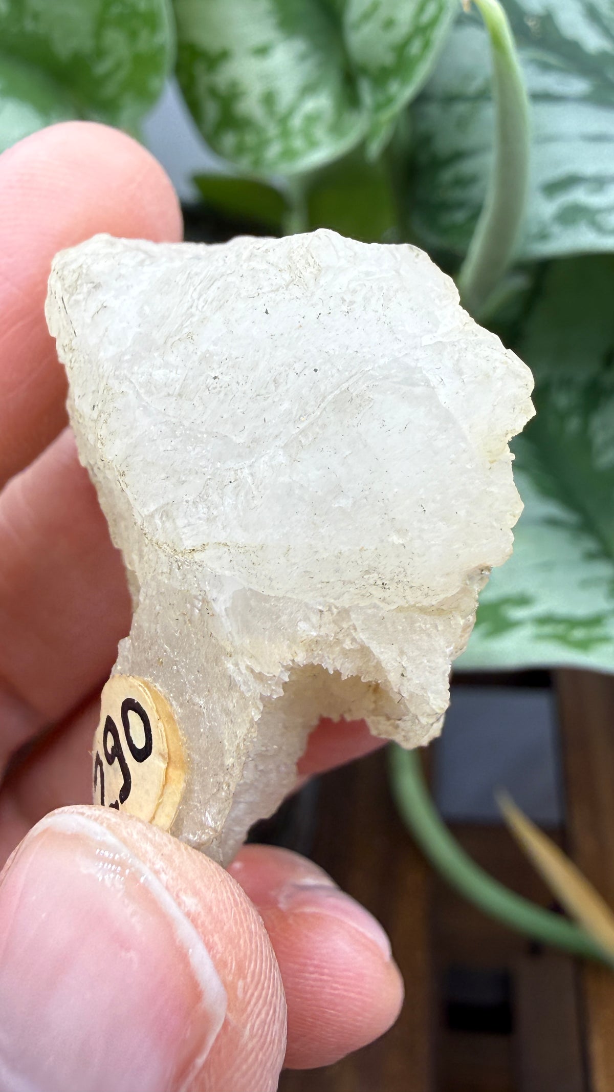 Colemanite– Kern County, California