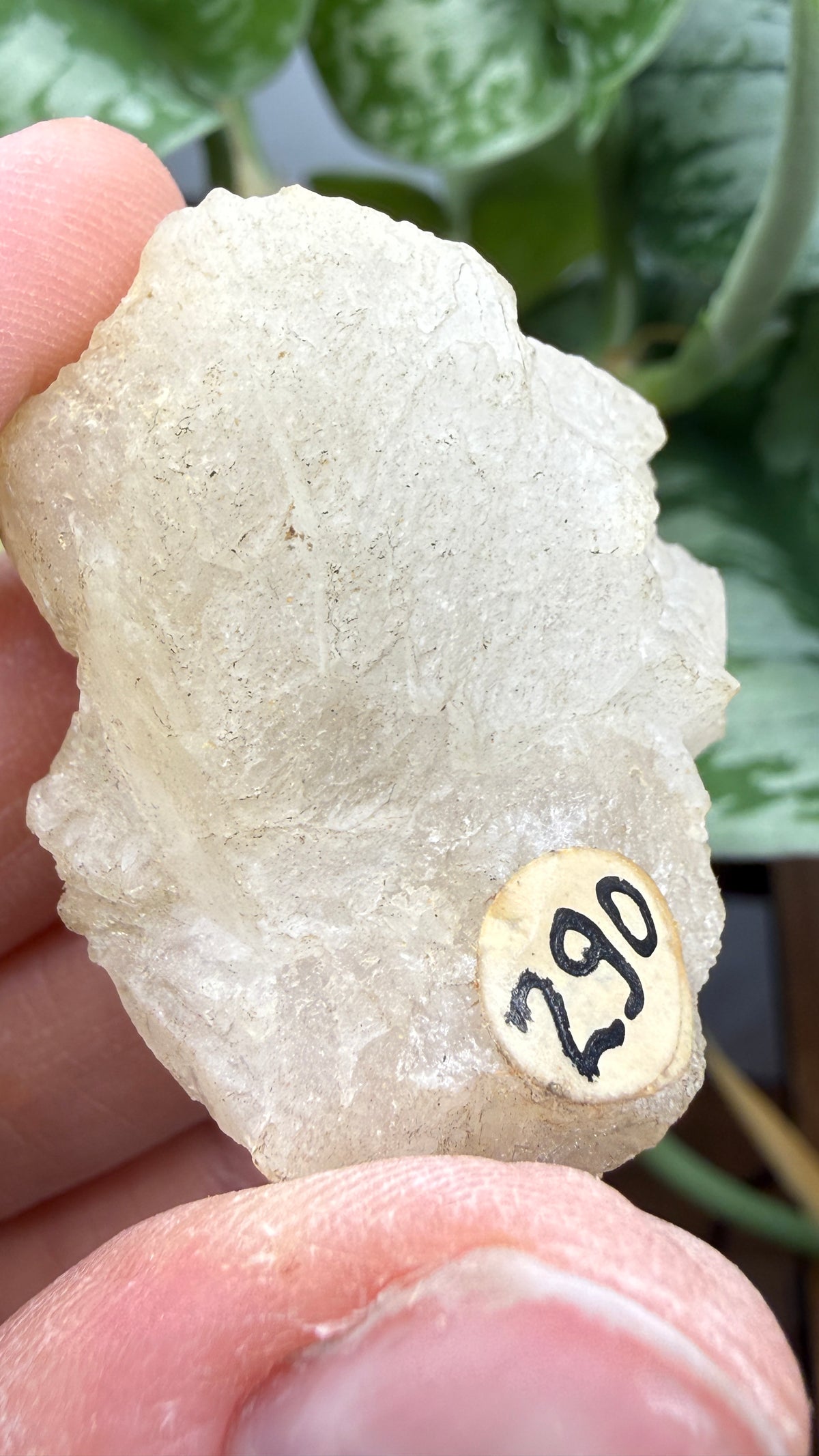 Colemanite– Kern County, California