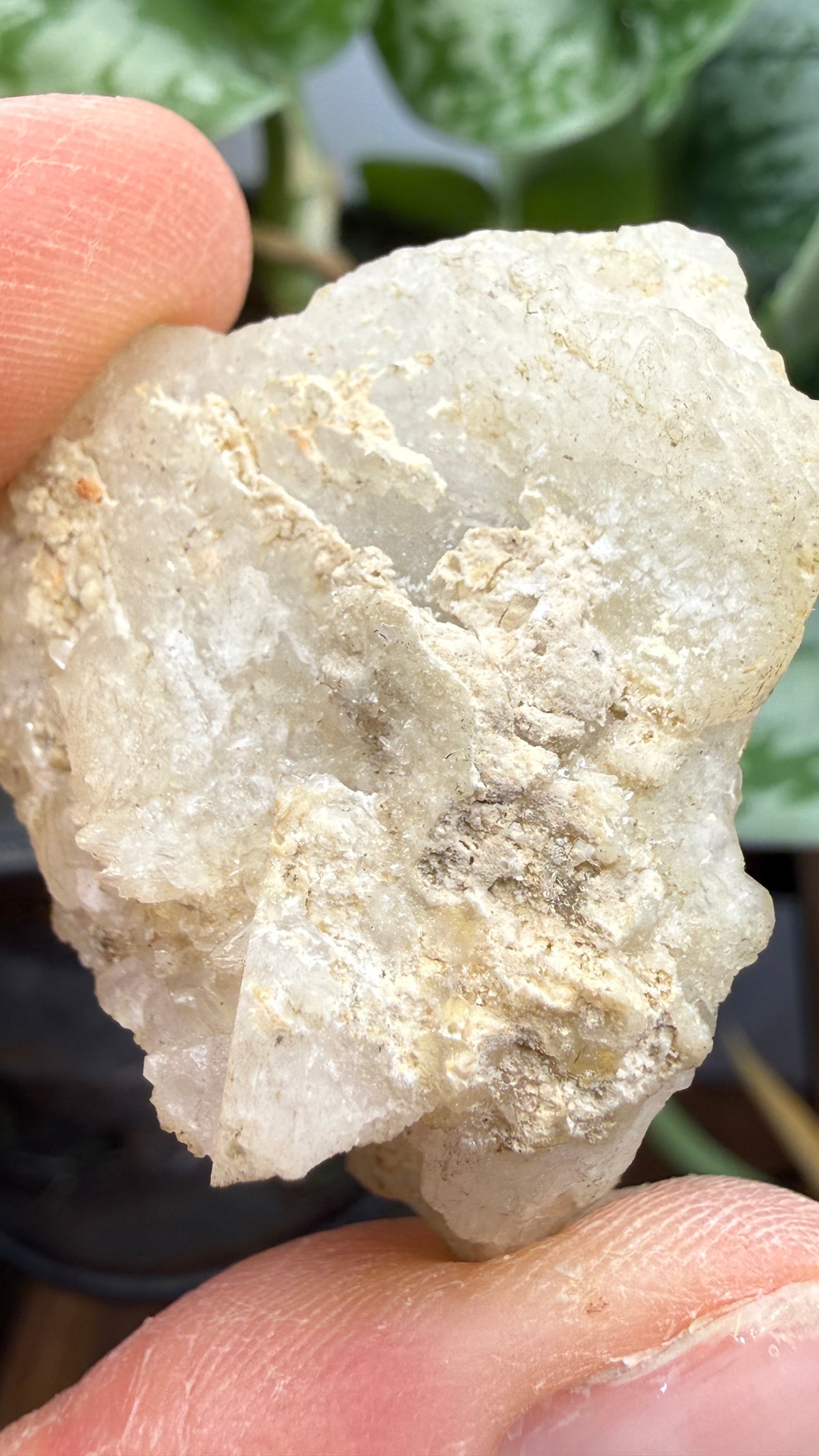 Colemanite– Kern County, California