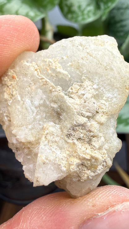 Colemanite– Kern County, California