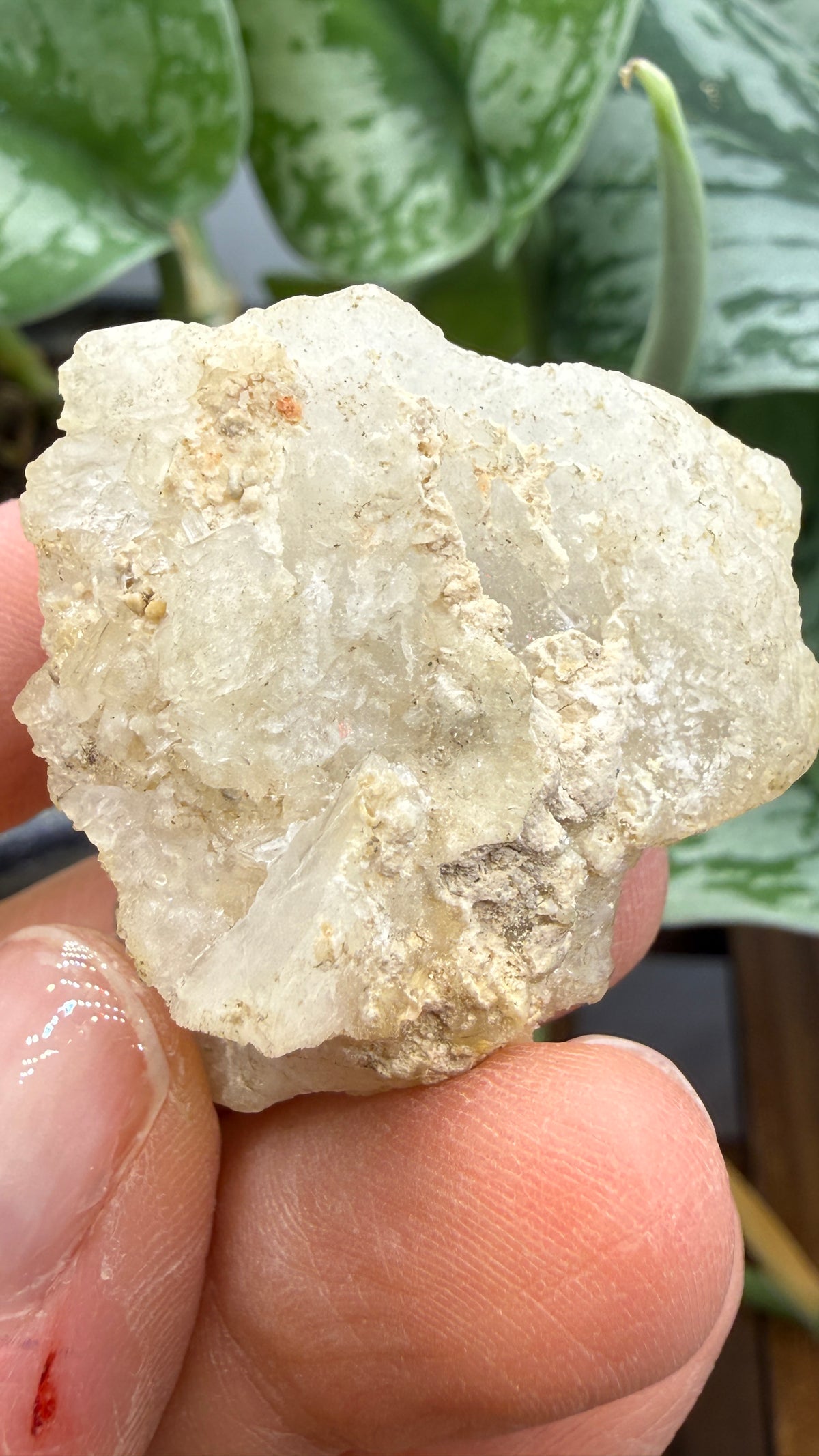 Colemanite– Kern County, California