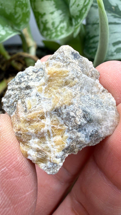 Wagnerite (“Kjerulfine”)- Kjerulfine Mine, Havredal, Bamble, Telemark, Norway