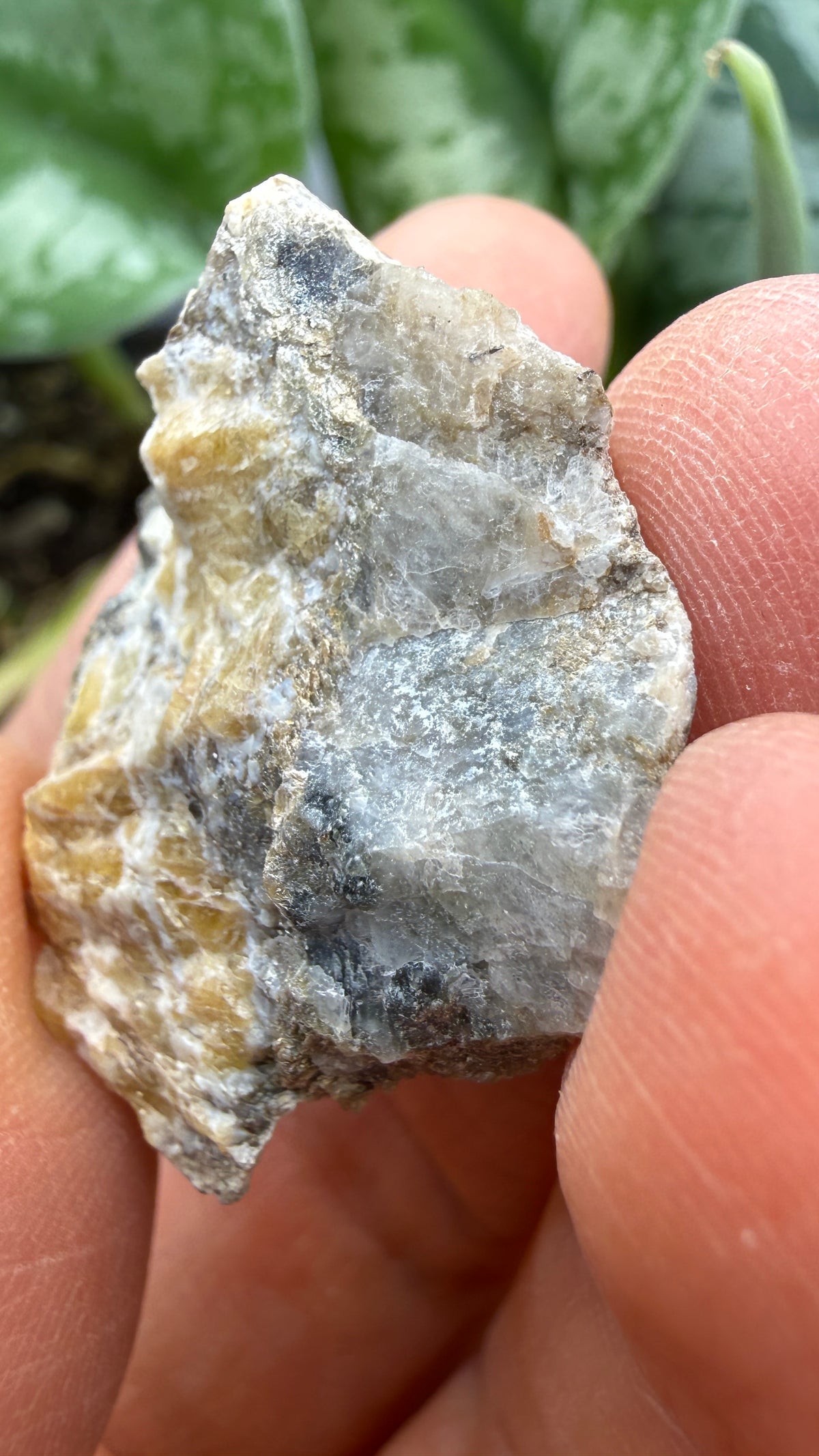 Wagnerite (“Kjerulfine”)- Kjerulfine Mine, Havredal, Bamble, Telemark, Norway