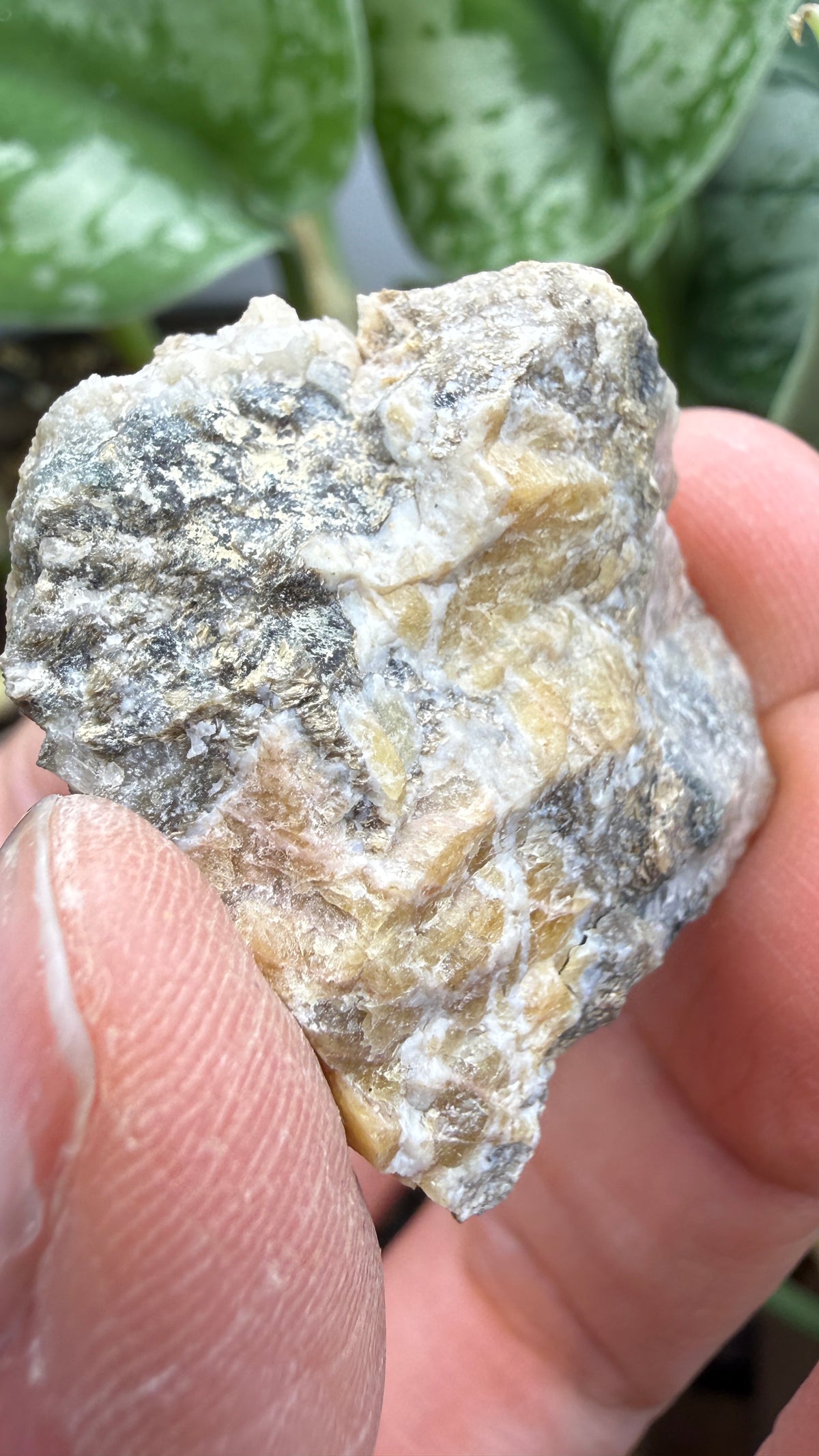 Wagnerite (“Kjerulfine”)- Kjerulfine Mine, Havredal, Bamble, Telemark, Norway