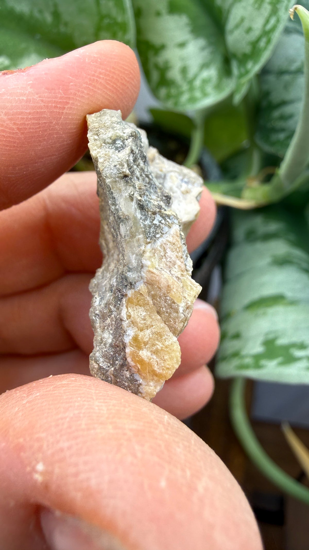 Wagnerite (“Kjerulfine”)- Kjerulfine Mine, Havredal, Bamble, Telemark, Norway
