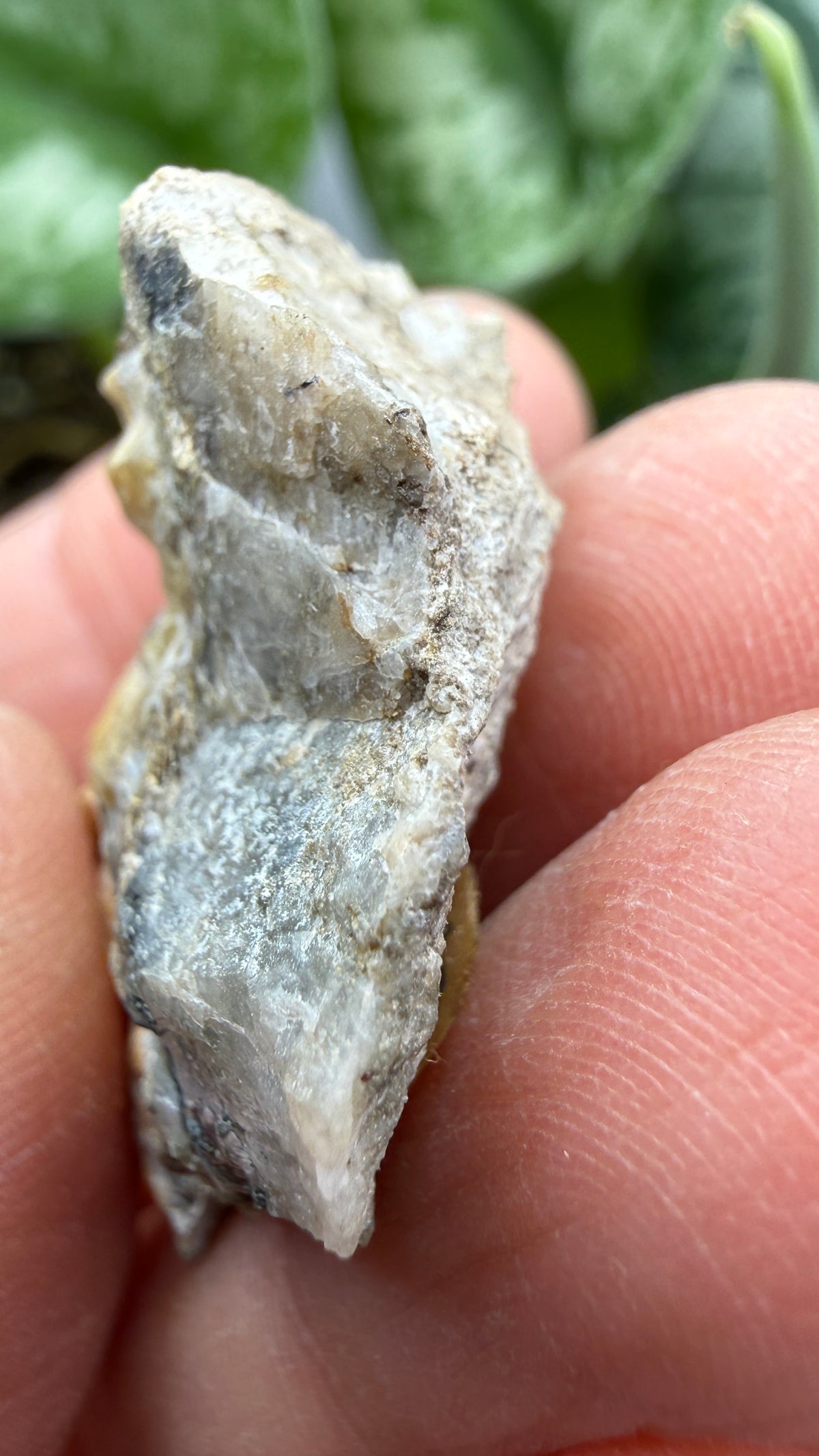 Wagnerite (“Kjerulfine”)- Kjerulfine Mine, Havredal, Bamble, Telemark, Norway