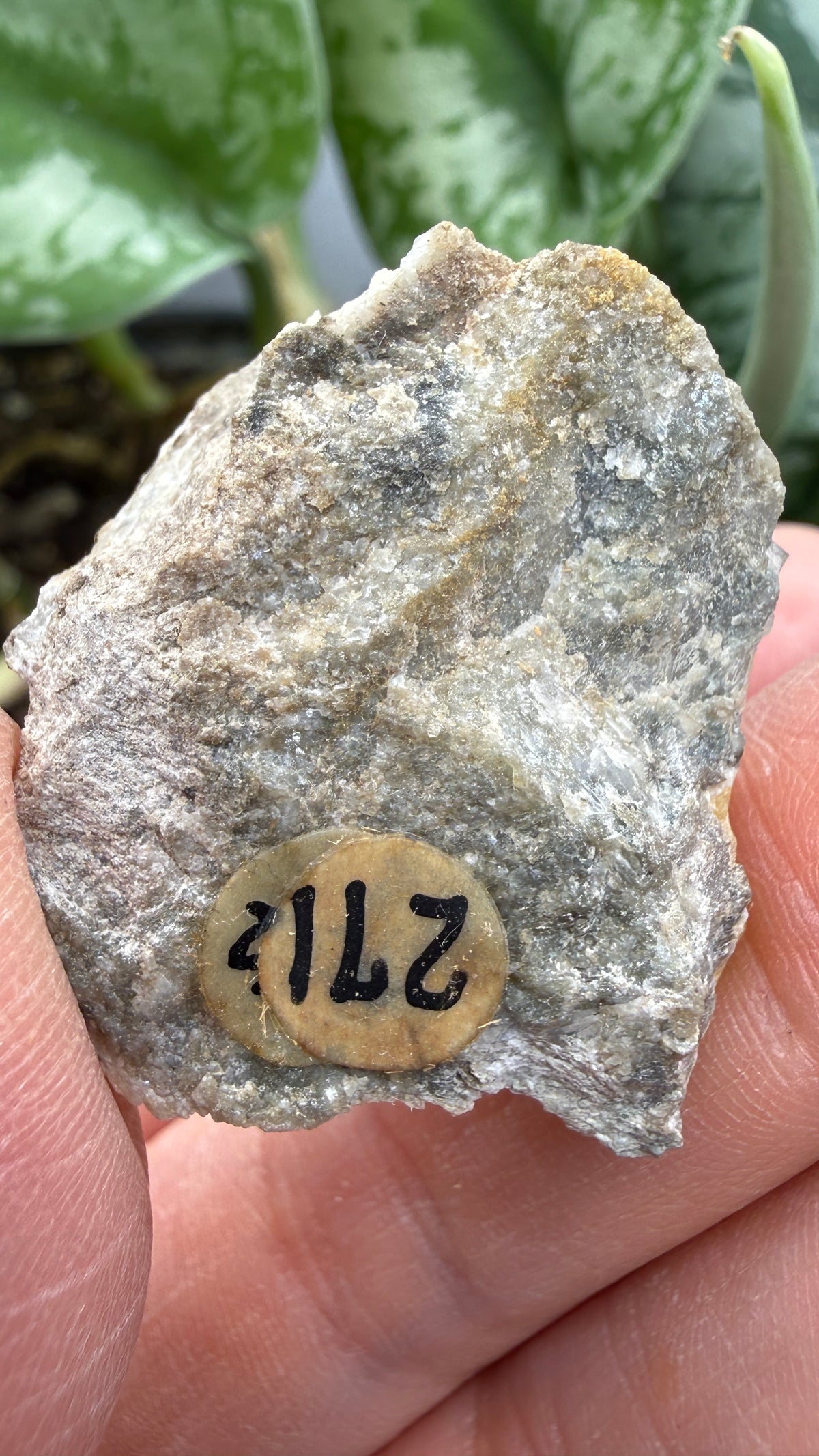 Wagnerite (“Kjerulfine”)- Kjerulfine Mine, Havredal, Bamble, Telemark, Norway