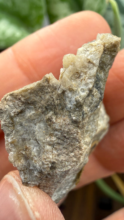 Wagnerite (“Kjerulfine”)- Kjerulfine Mine, Havredal, Bamble, Telemark, Norway